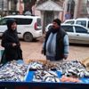 Fırtına balık fiyatlarını artırdı