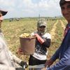 Yabancı işçiye tarım işçisi olma izni Yabancı işçiye tarım işçisi olma izni