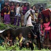 Nepal'den deprem itirafı