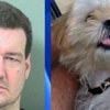Köpeği ısıran adam hapis cezası aldı Köpeği ısıran adam hapis cezası aldı