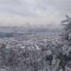 İstanbul'da Cumartesi gününe kadar kar var