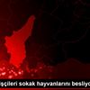 Temizlik işçileri sokak hayvanlarını besliyor
