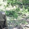 PKK, Alman vatandaşı Jakop Riemer'ı 'Turnuvaya gidiyoruz' yalanıyla kandırmış