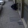 Esenler'de hırsızların rahatlığı pes dedirtti Esenler'de hırsızların rahatlığı pes dedirtti