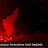 Türkiye, karpuz ihracatına hızlı başladı Türkiye, karpuz ihracatına hızlı başladı