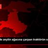 Balıkesir de zeytin ağacına çarpan traktörün sürücüsü ... Balıkesir de zeytin ağacına çarpan traktörün sürücüsü ...