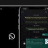 Android ve iOS için WhatsApp gece modu çıktı! WhatsApp karanlık mod nasıl açılır?