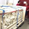 ‘Herakles Lahidi’ evine dönüyor