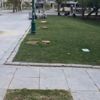 AKP yine Gezi'yi kaşıyor
