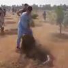 "İslam'da haramdır diyerek ağaçları söktüler!" "İslam'da haramdır diyerek ağaçları söktüler!"