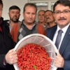Kilosu tam 150 lira Kilosu tam 150 lira