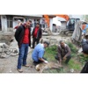 Köpekler Yavru Karacaya Saldırdı