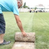 Timsah Arena’nın Çimleri Kesilmeye Başladı Timsah Arena’nın Çimleri Kesilmeye Başladı