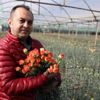 Kesme çiçekte koronavirüs korkusu