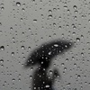 Meteorolojiden kuvvetli yağış uyarısı Meteorolojiden kuvvetli yağış uyarısı