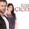 Kırgın Çiçekler 12.Bölüm ATV canlı - izle