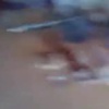 Ailesinden uzak olduğu için kediyi kesmiş Ailesinden uzak olduğu için kediyi kesmiş