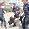 Gaziantep Üniversitesi'nde HDP standına polis saldırısı
