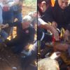 Tarlada çalışırken ayaklarını çapa makinesine kaptırdı Tarlada çalışırken ayaklarını çapa makinesine kaptırdı