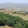 Japonya’dan Golan Tepeleri kararı