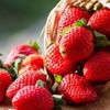 İlkbaharın C vitamini deposu: Çilek İlkbaharın C vitamini deposu: Çilek