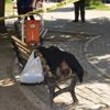Evsiz vatandaş bankta öldü Evsiz vatandaş bankta öldü
