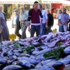 Karadeniz’de palamut sürprizi Karadeniz’de palamut sürprizi