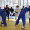 Judo Grand Prix müsabakaları başlıyor