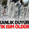 Bakanlık duyurdu! 2 kritik isim öldürüldü