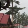 Kanada'da ağaca yıldırım düştü