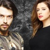 Survivor’da yeni bir aşk Survivor’da yeni bir aşk