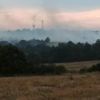 Bulgaristan'da oluşan orman yangını Türkiye'ye ilerliyor