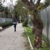 İzmir Valisi Mustafa Toprak: Amaç tüm bireylerin hakkını korumak İzmir Valisi Mustafa Toprak: Amaç tüm bireylerin hakkını korumak