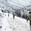 -30’da terörist avı