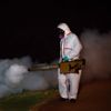 İtalya’da chikungunya virüsü alarmı