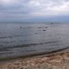 Balıkesir'de deniz suyu 2 metre çekildi Balıkesir'de deniz suyu 2 metre çekildi