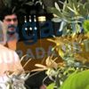 Didem Soydan, Burak Deniz ile aşk yaşadığını ilan ...