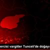 Kışın habercisi vargitler Tunceli de doğayı süsledi