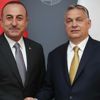 Dışişleri Bakanı Çavuşoğlu Macaristan'da