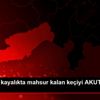 Mersin de kayalıkta mahsur kalan keçiyi AKUT ekibi ...