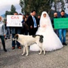 Yeni çift Carlos'a destek eyleminde
