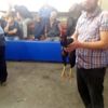 Horoz dövüşü vahşeti Horoz dövüşü vahşeti