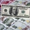 Dolar 2.60 lirayı gördü Dolar 2.60 lirayı gördü