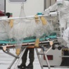 Ebola salgını sona erdi