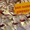 Taze çinekop tezgahta Taze çinekop tezgahta
