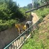 Dere içi temizleniyor Dere içi temizleniyor