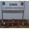 Kktc'den, İzmir'e Kaçak İçki Kktc'den, İzmir'e Kaçak İçki