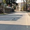Bursa caddeleri martılara kaldı Bursa caddeleri martılara kaldı