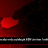Ticaret borsalarında yaklaşık 635 bin ton fındık işlem ... Ticaret borsalarında yaklaşık 635 bin ton fındık işlem ...