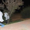 Parkta dolaşırken tüfekle başından vuruldu
